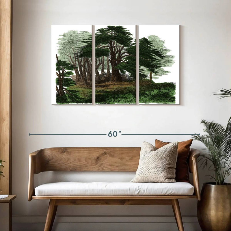 Cèdres libanais, H 28 po x l 45 po