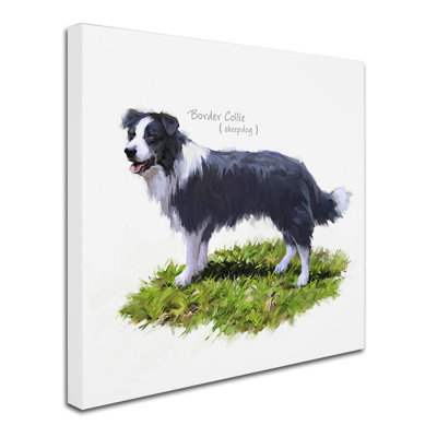 «Border Collie» par Armand, reproduction sur toile