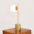 Antonino Modern Small Brass Metal Table Lamp with Opal Glass