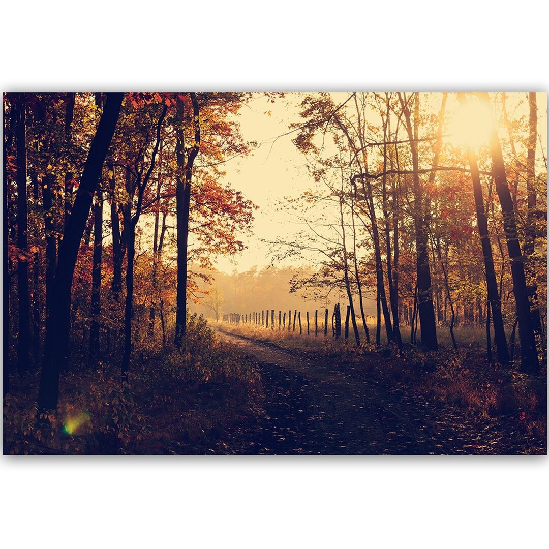 Leinwandbild Schotterstraße am Wald