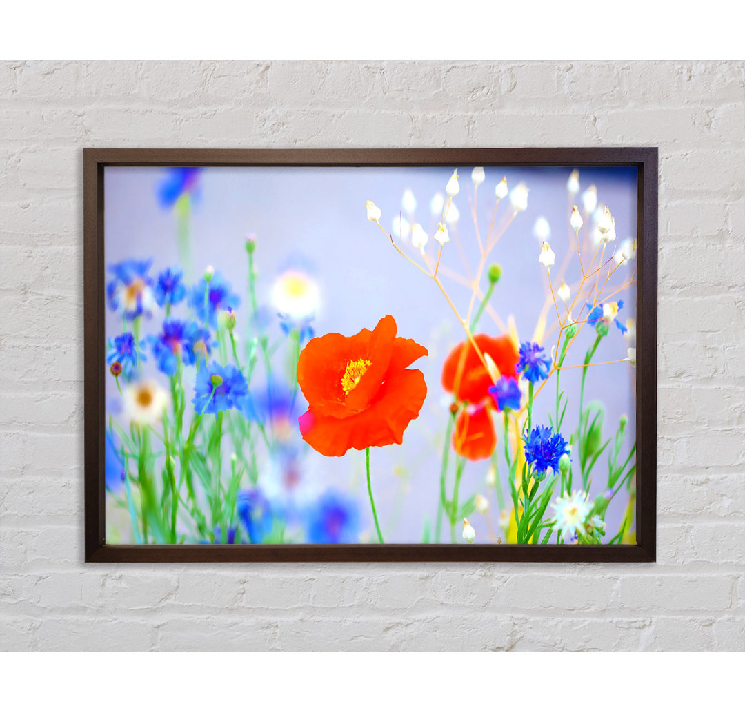 Lovely Poppy Garden Gerahmter Druck