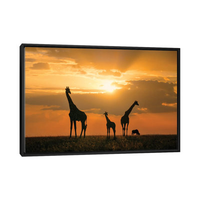 Golden Africa by John Fan - Floater Frame Print on Canvas