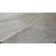 Charlize Hand Curated Cowhide Contemporary Beigish Grey 22 Area Rug
