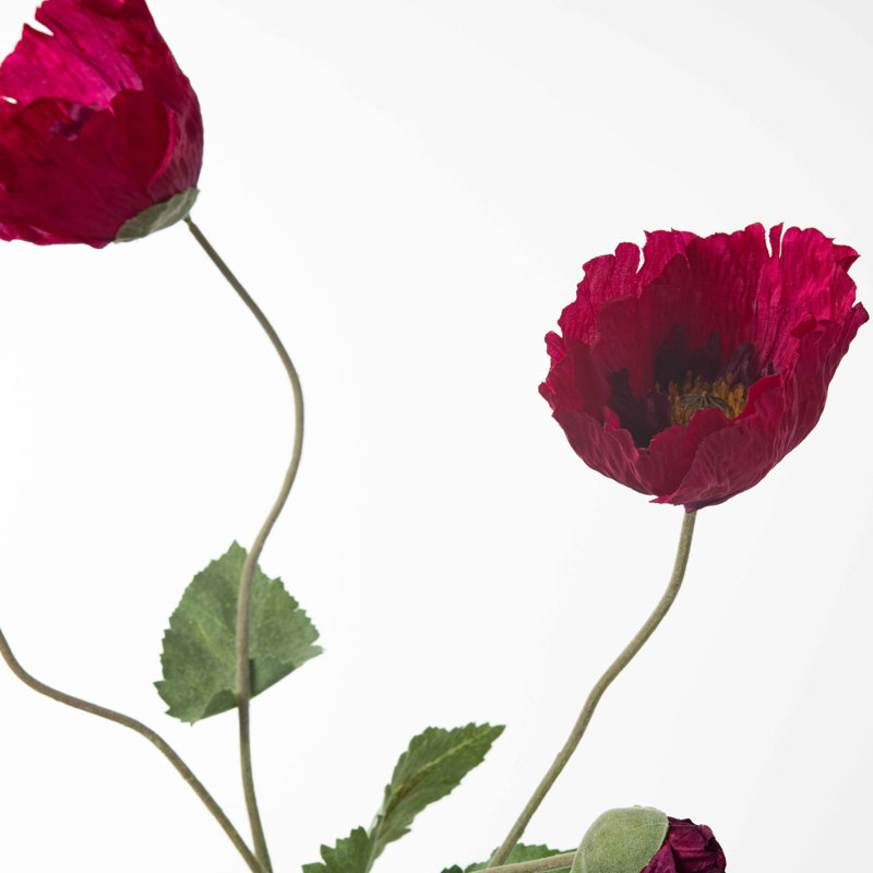 Arrangement floral coquelicot dans un vase, Rouge