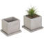 Planter Box