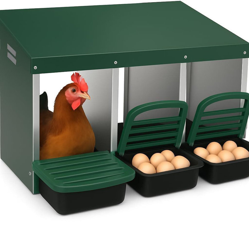 Boîtes de nidification pour poulets pour poulets, boîte de nidification en métal à 3 compartiments pour poulailler, collection Rollout Egg