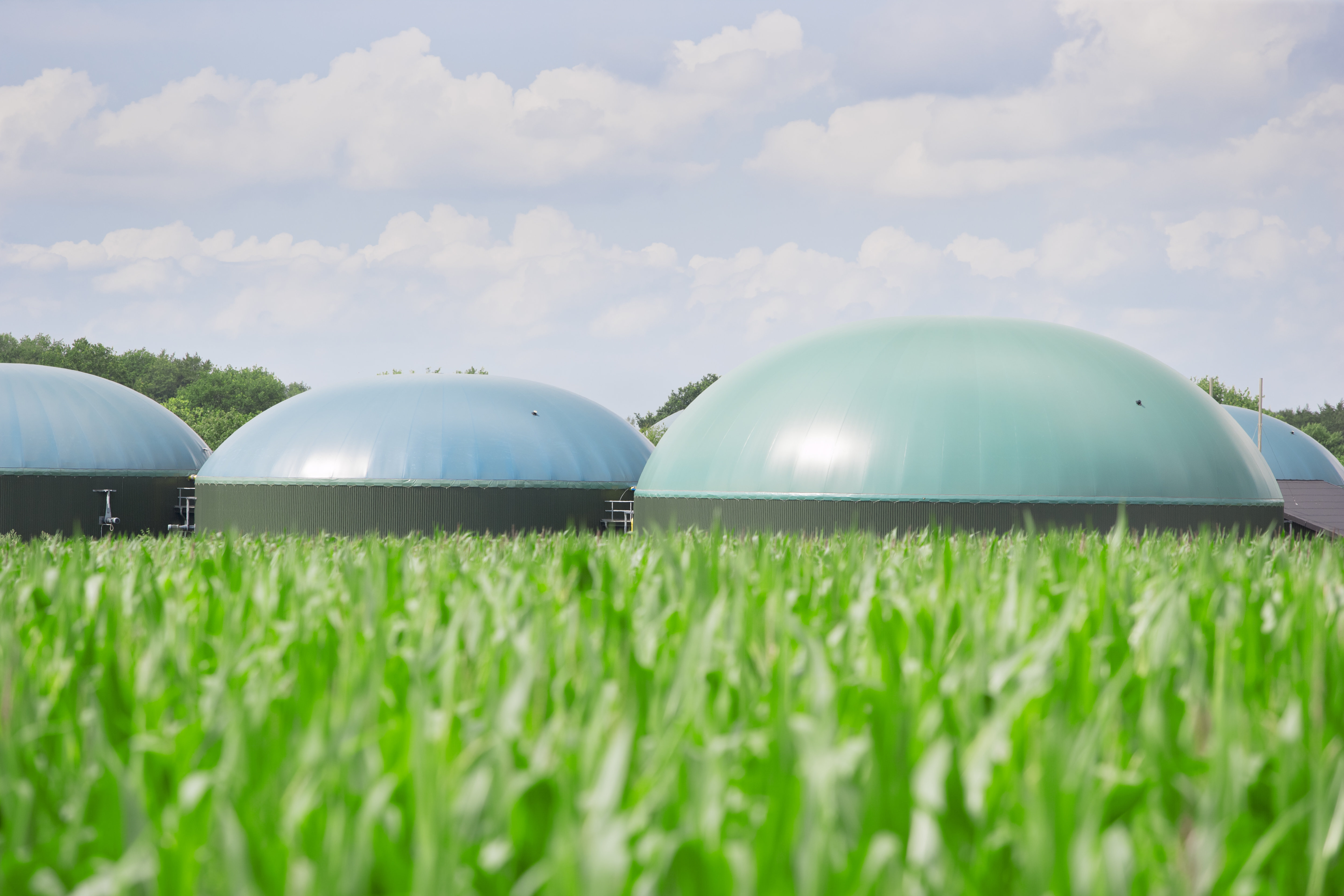 Biogar Energy Ebern Designs Biogas Energy by Jan-Otto | Wayfair