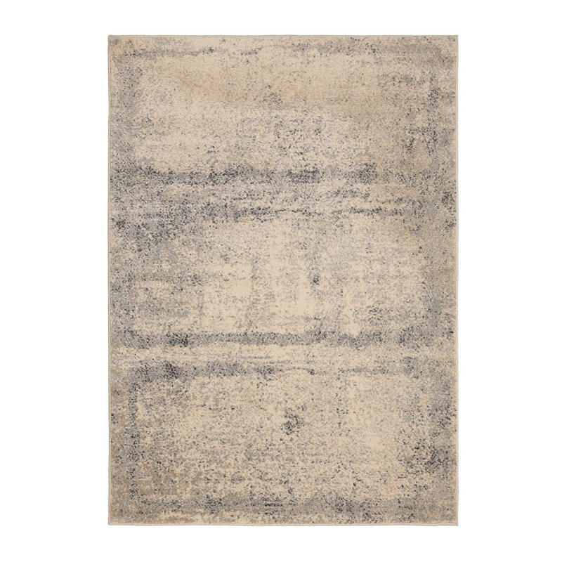 Shianne Oriental Area Rug, Rectangle 160 x 230cm