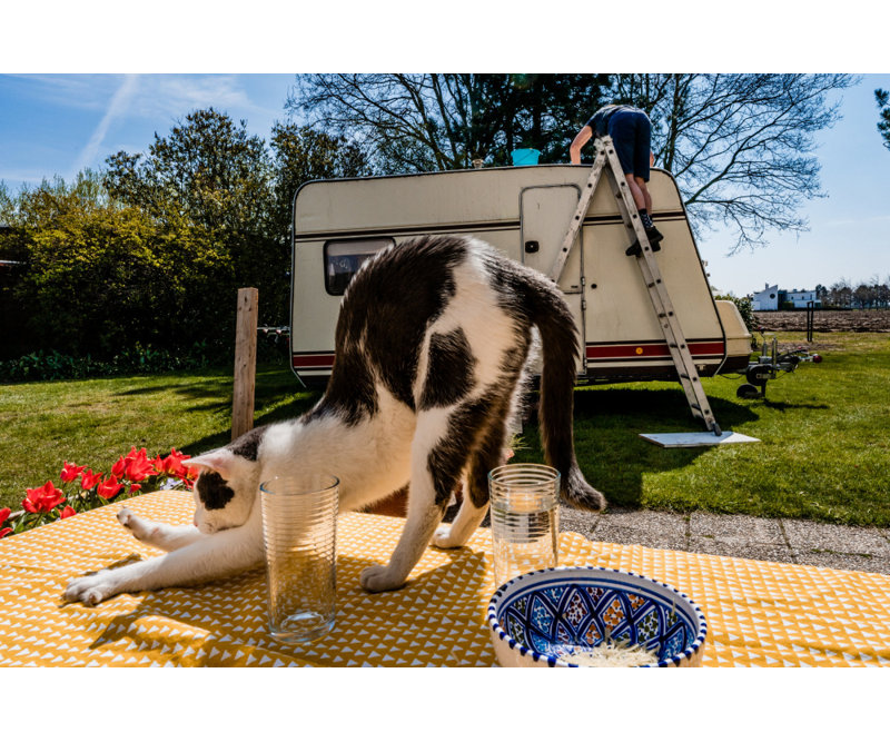 Wrapped Canvas Print, 50.8 cm H x 76.2 cm W