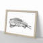 Feather by Jean Bernard - Picture Frame Drawing Print-55536022-55536023
