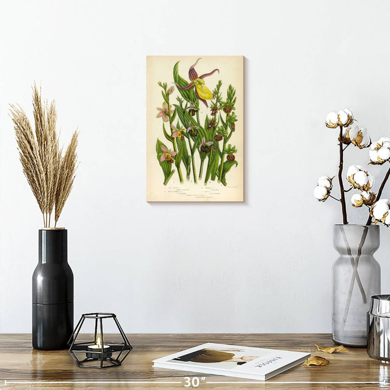 Orchidées sauvages Keiri, H 12 po x l 8 po