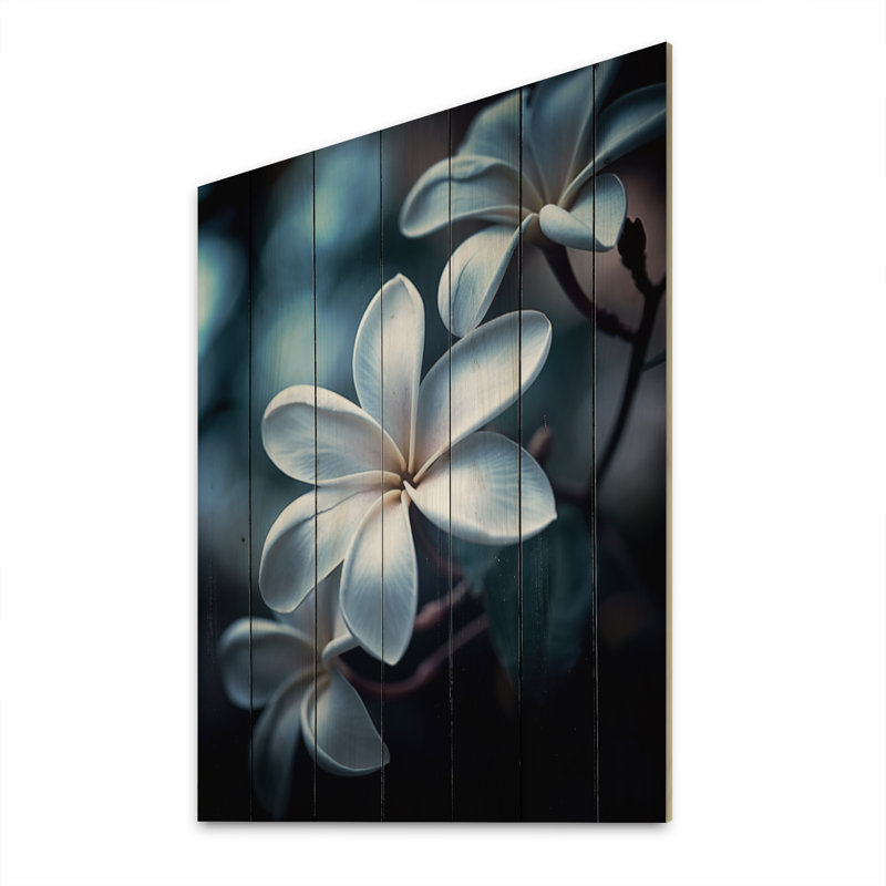 Fleurs de plumeria exotiques blanches et blanches sur bois, H 32 po x l 24 po x P 0,78 po
