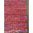 Cotton Indoor Rug