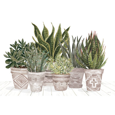 Aztec Succulent Set by Cindy Jacobs