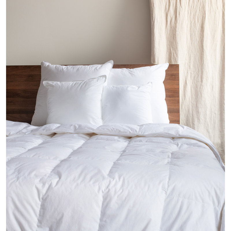 White Cotton Down Alternative Euro Throw Pillow Inserts, 26" x 26", Set of 2