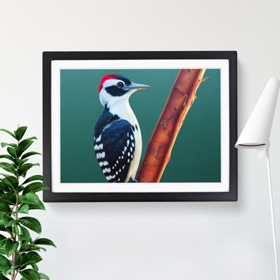 Select Woodpecker Bird - Framed Print