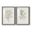 Cadre simple mat Premium Sprig III prêt à accrocher-409981433-409981434