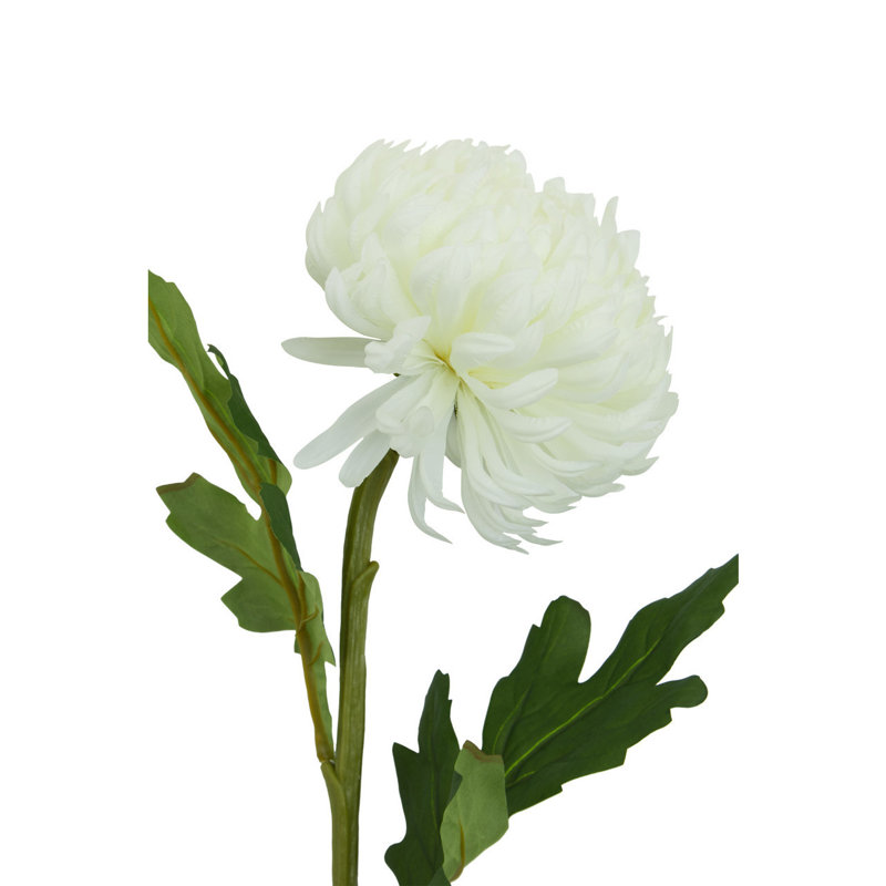Fiori Chrysanthemum Arrangement