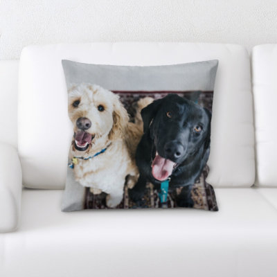 Coussin pour chien