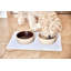 Koko Dog Placemat-656504893