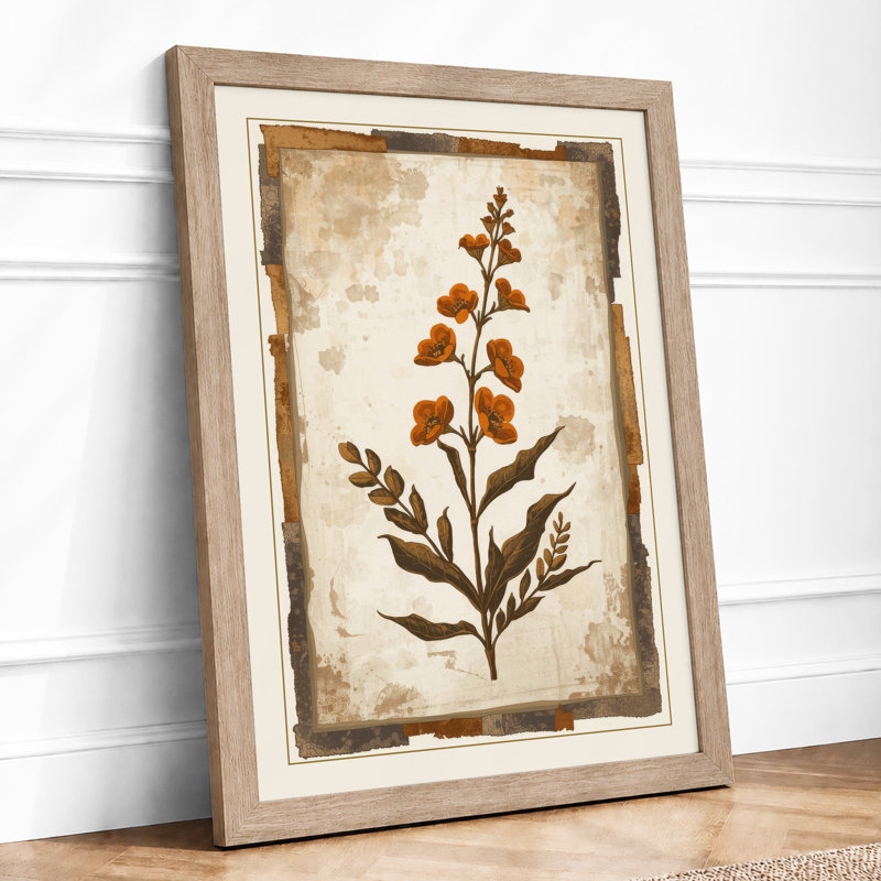 Antique Specimen Botanical - Framed Print, A4 - 29.7 x 21.0 cm, Oak