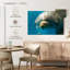 Dauphin Brampt Nosy-108695108