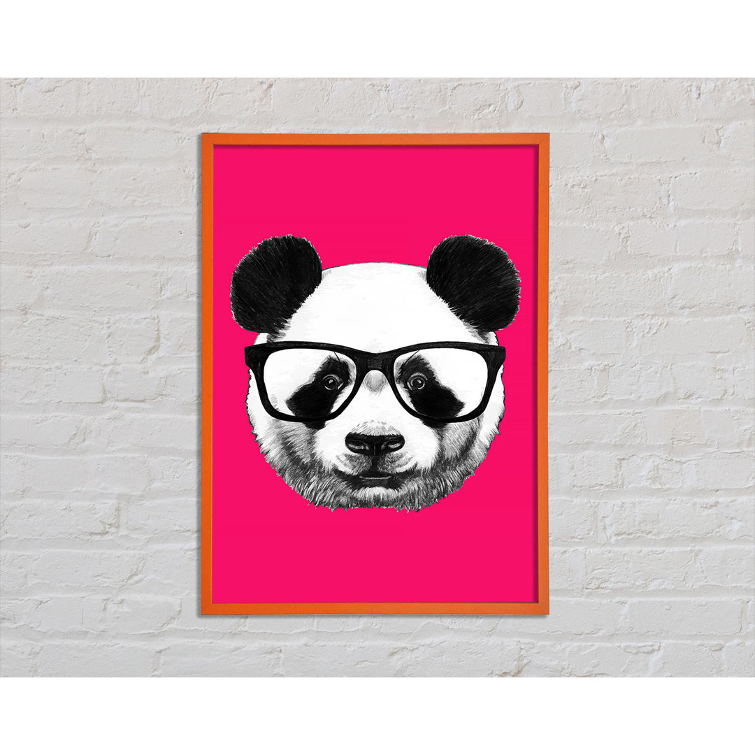 Funky Panda - Einzelner Bilderrahmen Kunstdrucke