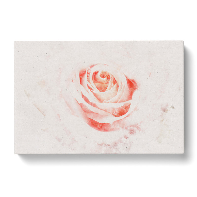 Pale Pink Rose - Wrapped Canvas Print, 40cm H x 60cm W x 3cm D