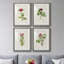 Pretty Pink Botanicals II - ensemble de 4 reproductions de cadres photo-1342891447-1342891403