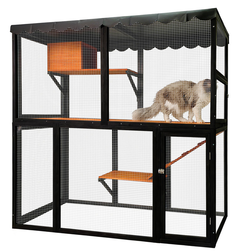Maison d'extérieur pour chat avec configuration à 4 niveaux, bois massif et filet imperméable pour que plusieurs chats puissent y passer la nuit