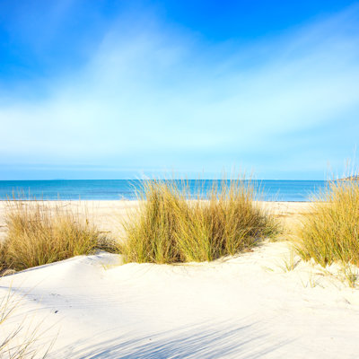 " Sand Dunes Beach " by Stevanzz
