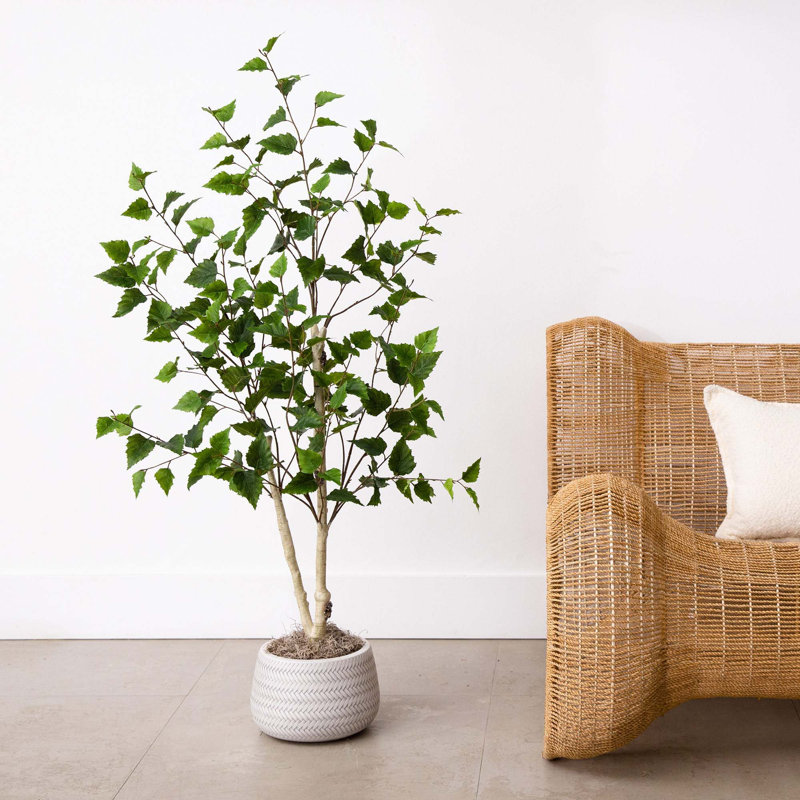 Faux bouleau en pot, 48"