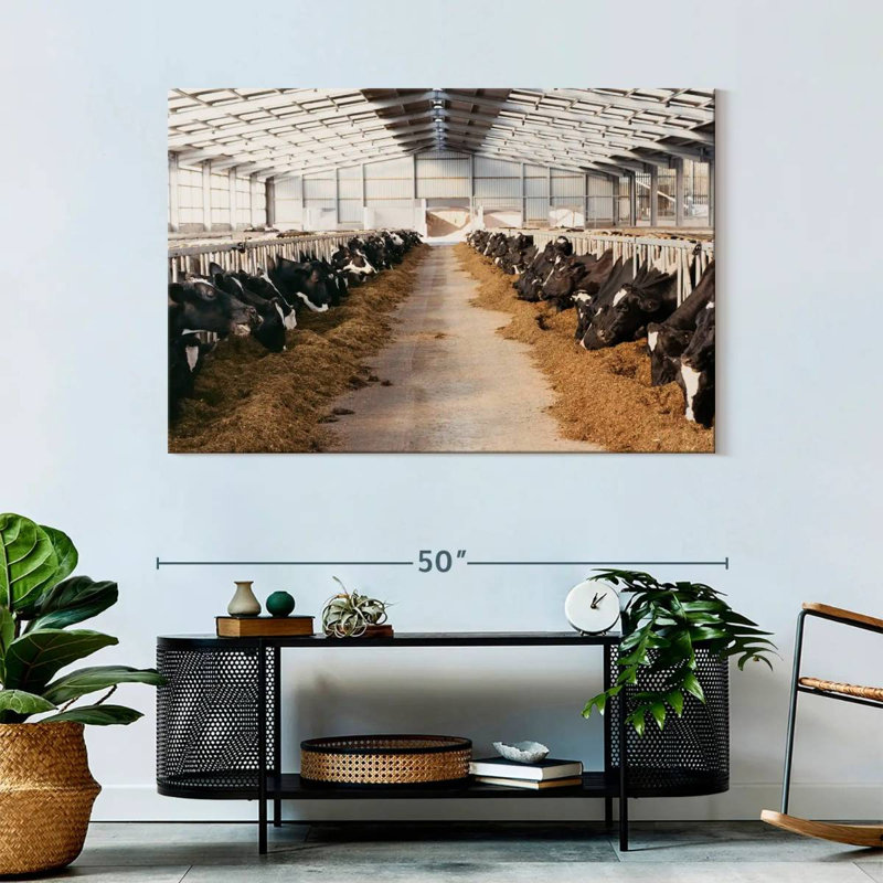 Barn Cows, 32" H x 48" W