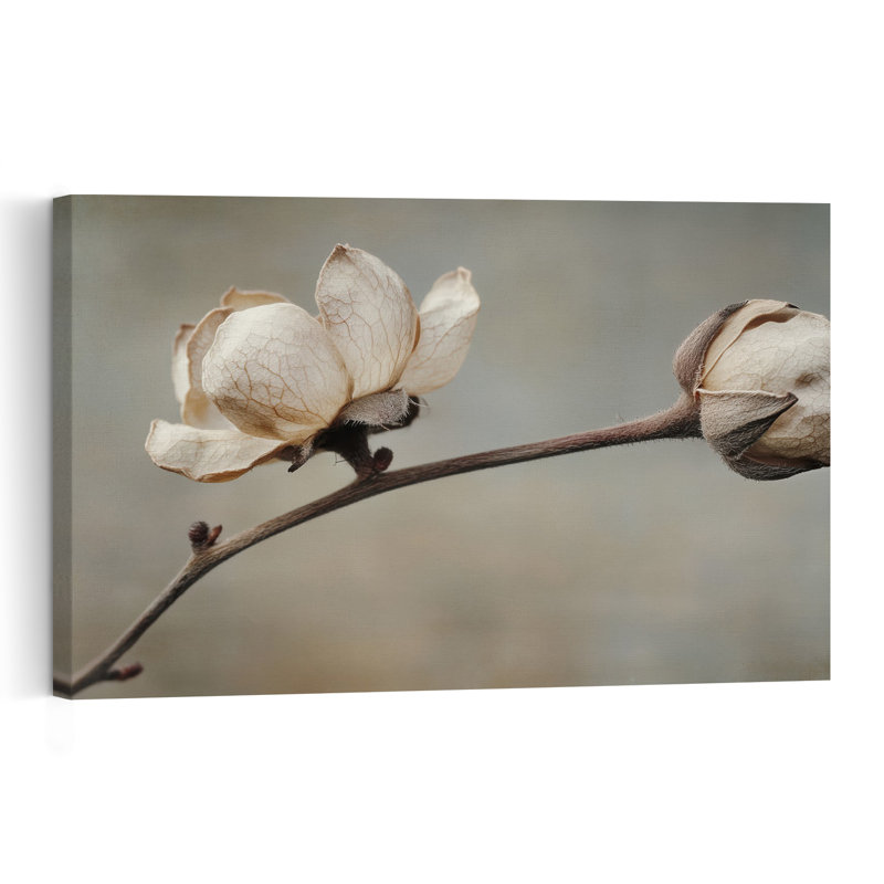 Pétales délicats, impression d'art mural minimaliste et rustique représentant une fleur naturelle, 12" H x 18" W