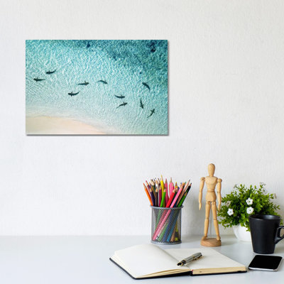 Sharks Patrolling Beach Shoreline 1 Piece Wrapped Canvas Wall Art