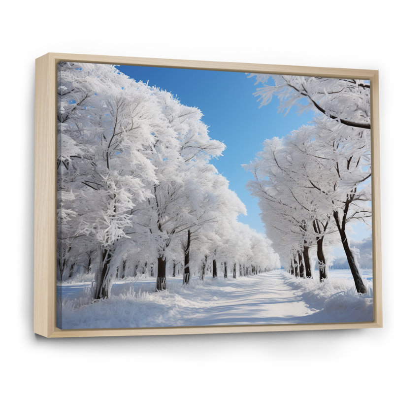 «Bronti Winter Frosty Canopy II», reproduction sur toile, H 12 po x l 20 po x P 1 po, Cadre naturel flottant