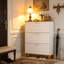 Armoire de rangement pour chaussures Chipola