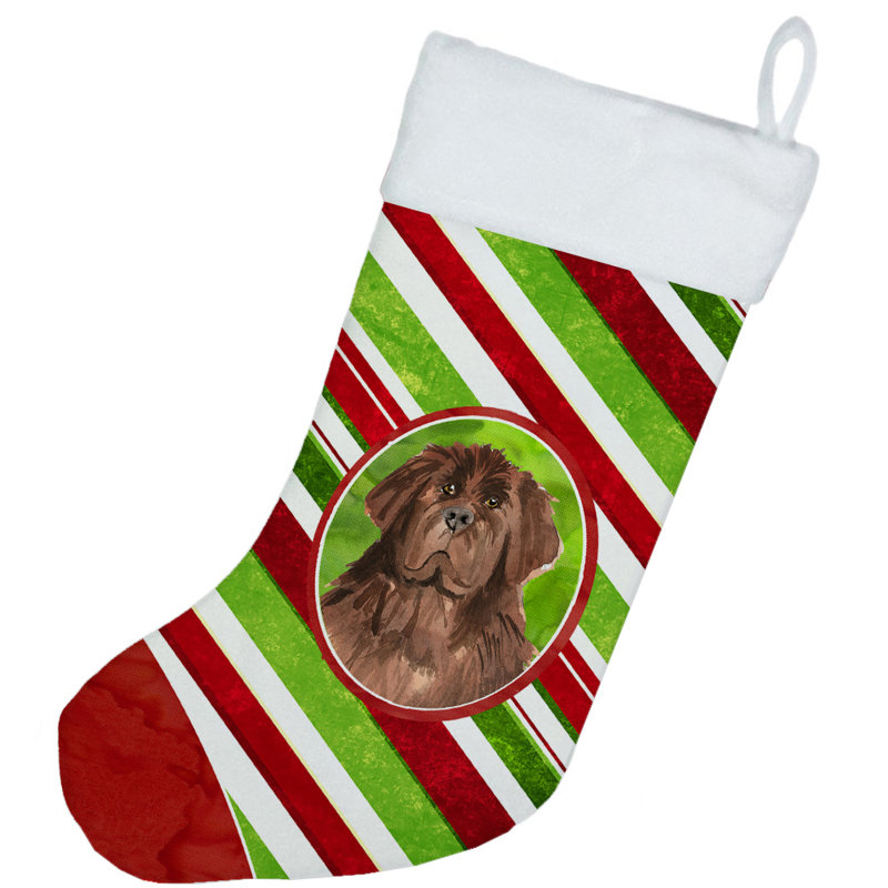 Chaussette de noël à rayures à sucre, Terre-neuve