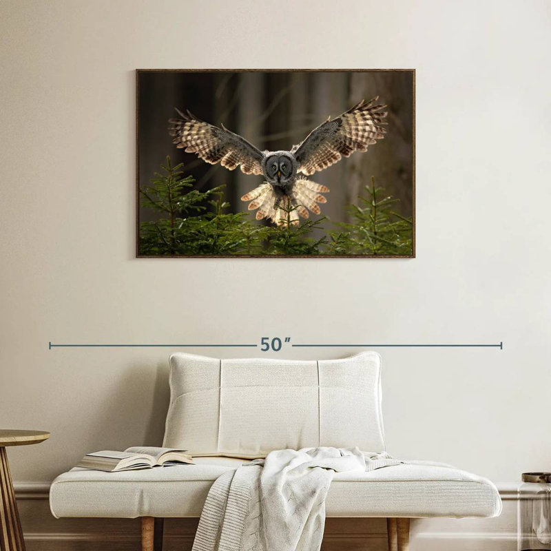 Hibou volant, 37 po x 25 po, Cadre flottant en noyer
