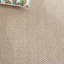 Tapis beige Sisal Performance 106-2092123185