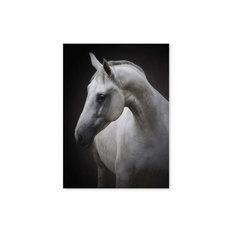 Maggie - reproduction de photo sur toile, Art mural noir encadré texturé, H 14 po x l 10 po