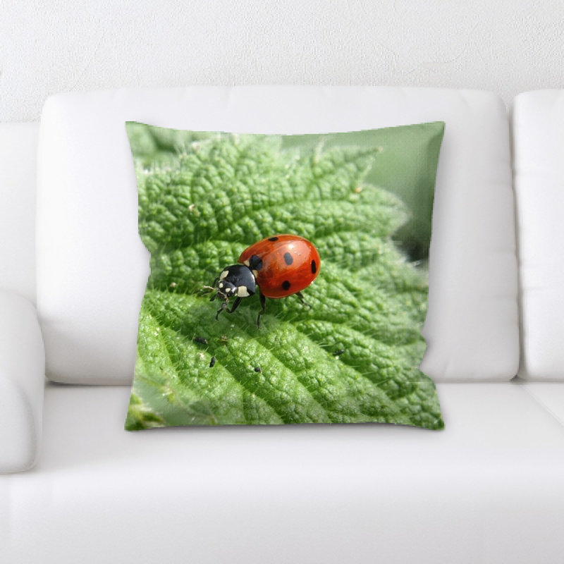 Coussin coccinelle