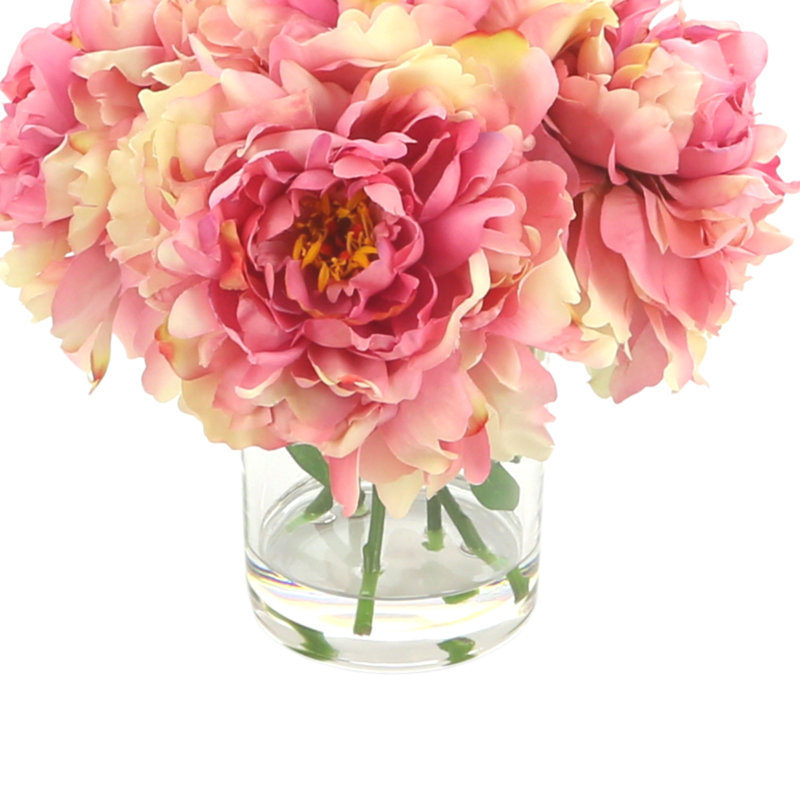 Peonies Arranged in Glass Vase, Pink/Beige