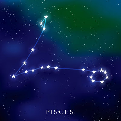 Pisces Star Constellation by Bortonia - Wrapped Canvas Print