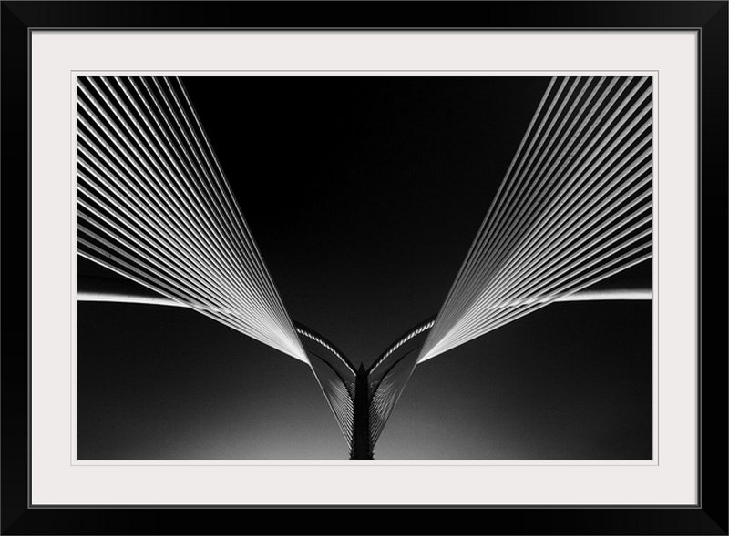 «Wings» de Straub par Nasrul Effendy, impression, Cadre noir, H 20 po x l 26 po x P 1 po