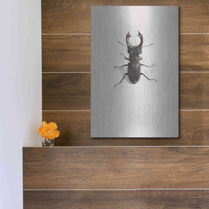 Lucanus Cervus par Incado - peinture sur métal sans cadre, H 16 po x l 12 po x P 0,13 po