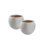  Pot à fleurs en céramique blanche Noa, pots ronds mats avec intérieur en argile naturelle pour plantes grasses, petites plantes, décor de maison et de bureau moderne, 6,2 po de diamètre et 5 po de hauteur, paquet de 2