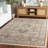 Hazel 500 Performance Oriental Rug-1188429194
