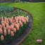 Bordure de jardin-84751529-84751530