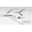 Karat Collection Arch Pull - 3-3/4" Center to Center Cabinet Pull Satin Nickel - Contemporary Hardware for Drawers & Cabinets-50259513-117027970